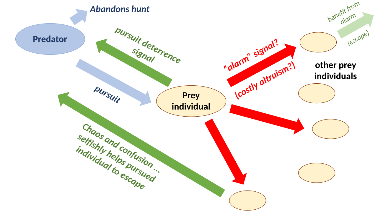 The Selfish Gene